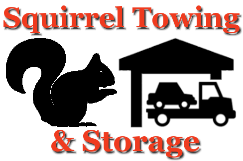 Squirrel Towing Logo